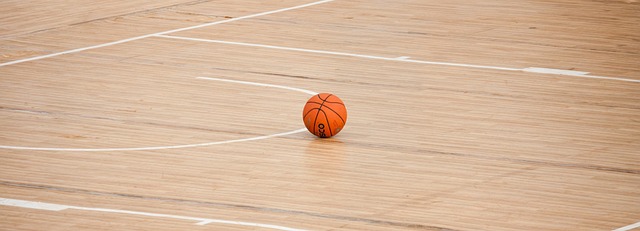 basketball-390008_640