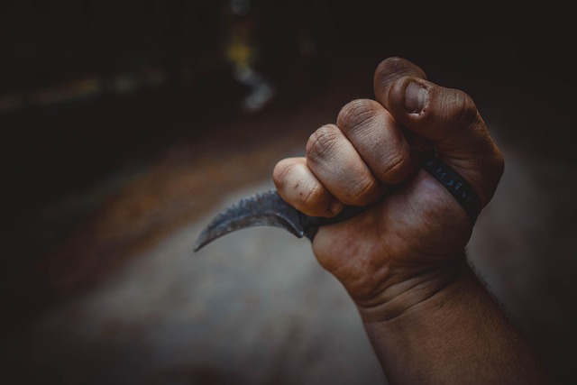 karambit-5587738_640