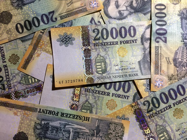 forint, pénz