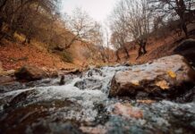 Új fejlesztések erősítik az Őrségi Nemzeti Park természetvédelmi őrszolgálatát