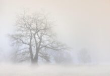 Vasárnapig enyhül az időjárás, utána ismét hűlni fog a levegő