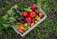 Kezdjük az évet a veganuárral
