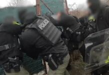 Komlói férfi termesztette, a basali páros pedig árulta a drogot Baranyában