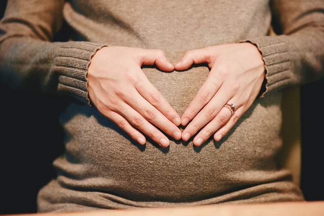 stocksnap-pregnant-2568594_640