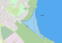Megújulnak az erdők a tatai Öreg-tó körül – 9 hektáron indul klímavédelmi program.
