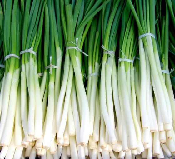 újhagyma