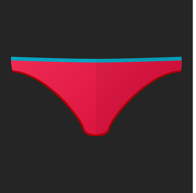 janjf93-underpants-1626503_640