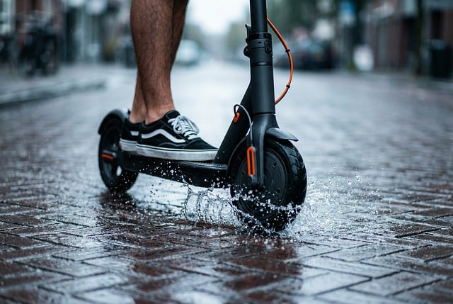 roller