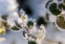 Több mérőállomáson is 0 Celsius-fokhoz közeli hőmérsékletet mértek