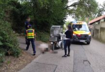 Félholtra harapdálta egy kutya a postást a III. kerületben