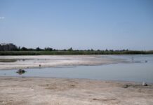 Velencei-tó: 12 pontos tervvel mentené meg a tavat a Tisza-kormány