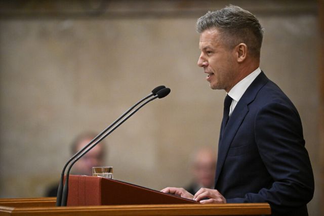 magyar-gulyás