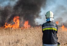 Mintegy húsz hektáron égett az aljnövényzet Külsővatnál