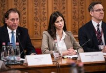 Szentkirályi Alexandra: Radnai Márk ügyével kezdhetne az új vagyonvédelmi hivatal