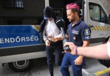 Rács mögött marad Jellinek Dániel és az MNV volt vezére: egy hónapra elrendelték a letartóztatásukat